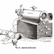 Imagen: Ilustración del sistema utilizado por Duchenne. Wikimedia Commons